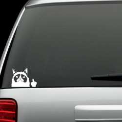 Grumpy Cat Car Decal